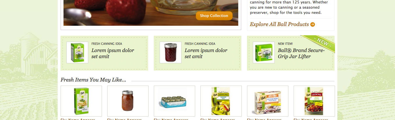 RachaelRay style guide assets